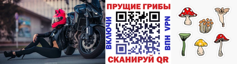 Галлюциногенные грибы Cubensis  купить наркотик  Арзамас 